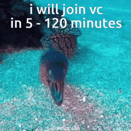 a blurry po with an inscription about vlc in 5 - 10 minutes