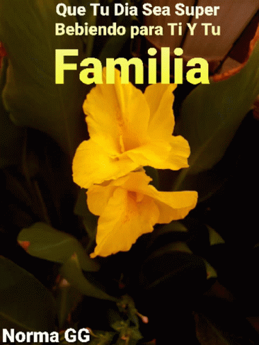the word familla written in spanish above a blue flower