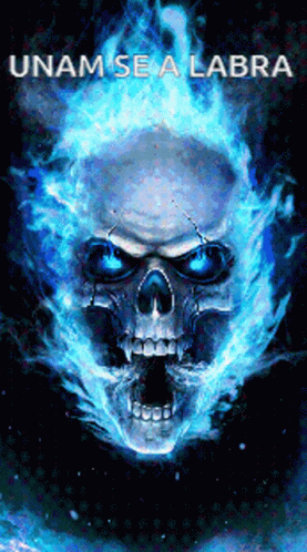 an image of an advertit with a skull on it