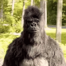 a gorilla with an overly big body standing near trees