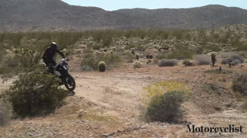 motorcycle rider in mid air over dry grass