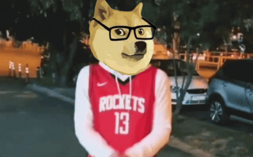 a dog in a blue and white jersey wearing glasses