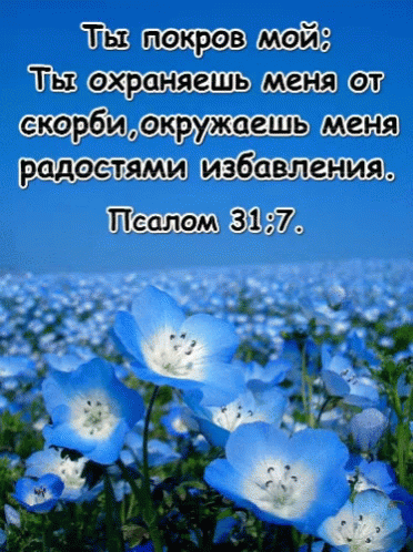 an orange flower with words in russian