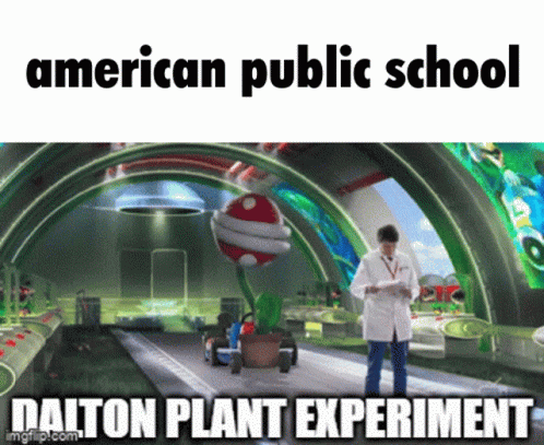 there is a large advertit of the american public school
