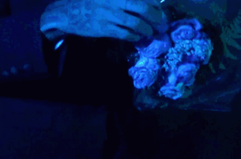 a person is holding a bouquet of flowers