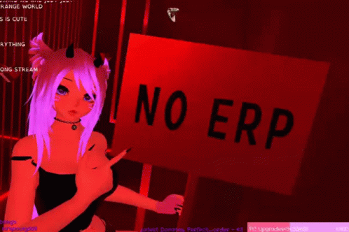 anime anime girl with cat ears pointing at a no erp sign