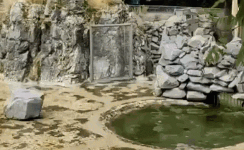 an animal park with a rock and water fountain