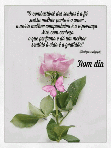 a rose in front of a poem with spanish captions