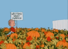 cartoon character holding a sign in front of a field of blue flowers