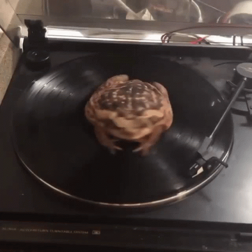 a turntable with a blue object sitting on top of it