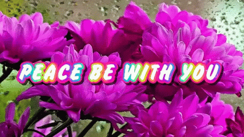 purple flowers with text peace be with you