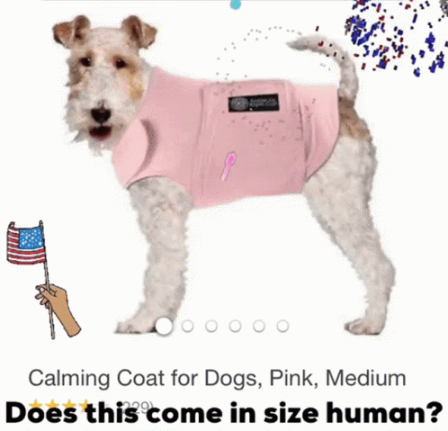 an ad for pink, a pink and white dog with a shirt that reads pink
