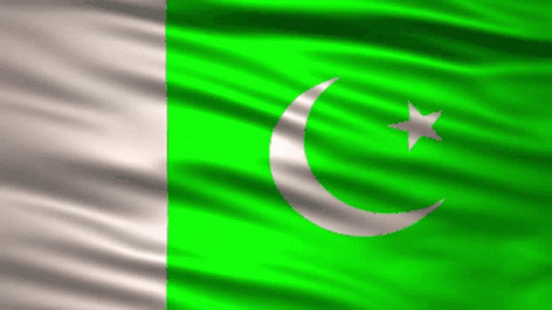 the pakistan flag is fluttering in the wind
