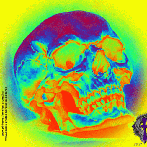 a colorful image of a skull and skull's head