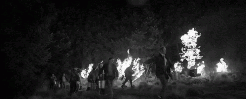 several people gathered around a campfire and two are standing near trees