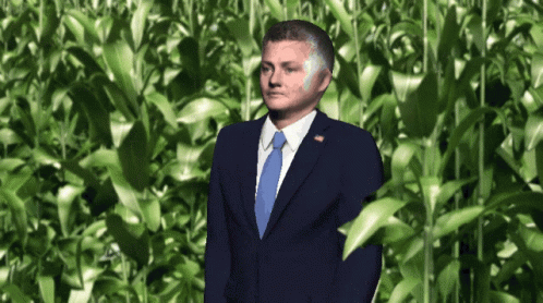 a man in a suit and tie stands in a field of green grass