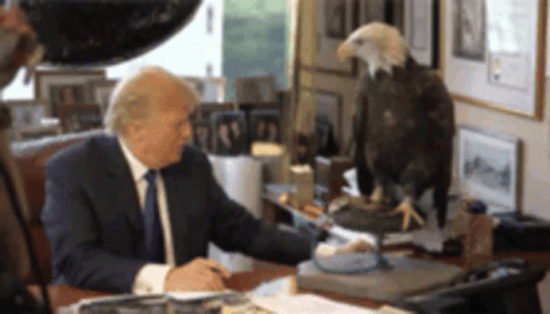 a woman in a suit and mask sitting at a desk with a bald eagle