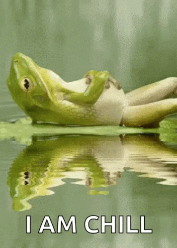 the frog is laying on its back on the surface