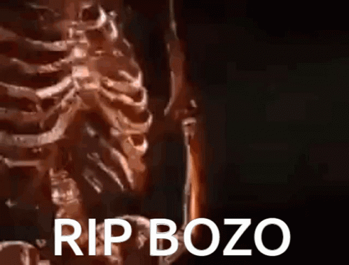 a po of a skeleton with the caption rip bozo