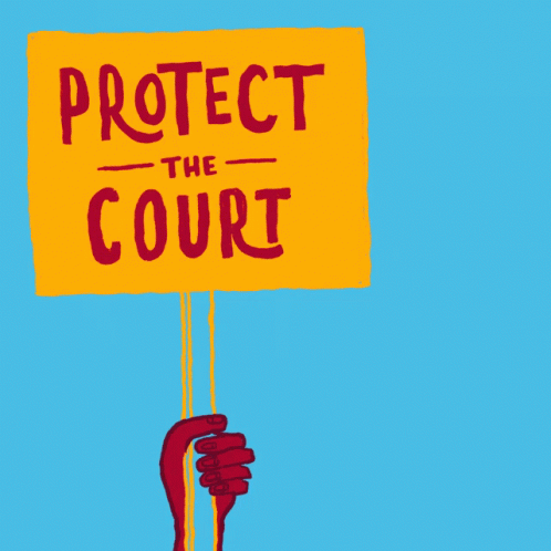 someone holding a sign that says protect the court