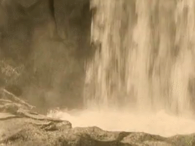 an elephant standing at the base of a waterfall