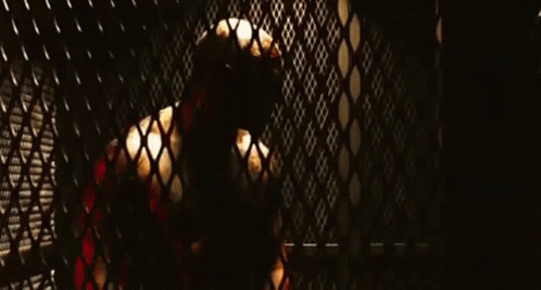 an image of someone behind the bars in a cage