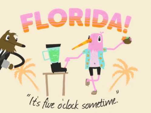 an animal is sitting on a desk and is saying it's tite clock soing florida