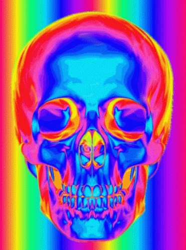 the image of a human skull with a multicolor background