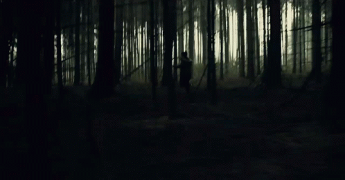the person is walking through a dark and mysterious forest