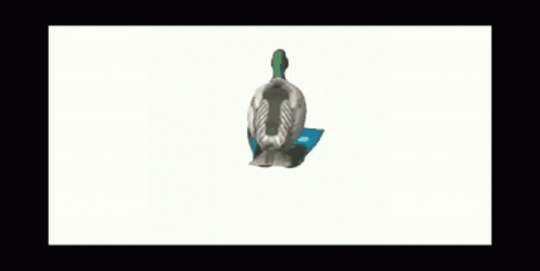 a picture of a duck made out of a bottle