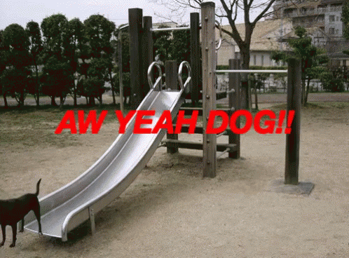 the dog is near the slide in the park