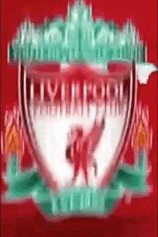 the logo for a soccer team