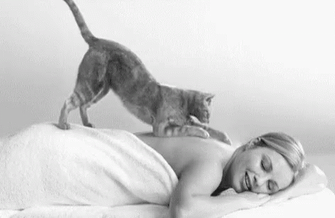 a woman in a bed with a cat on her shoulder