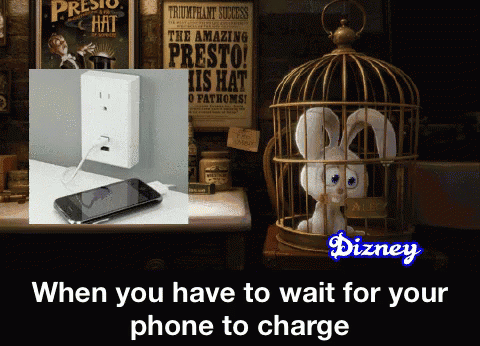 an animal in a cage with a cell phone