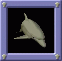 an image of a plastic whale in a frame