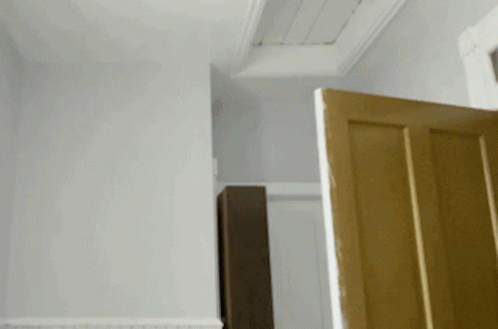 a door open on a white bathroom wall