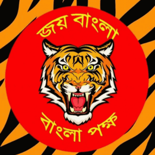 the tiger's face with an evil look on its head and striped blue background