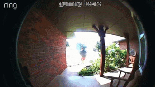 an image from a camera of the view into a doorway