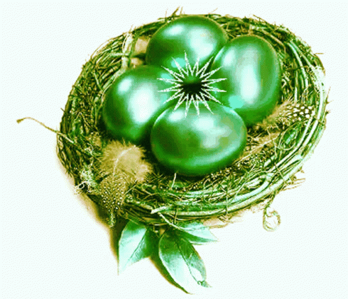 four green eggs sitting in the middle of a nest