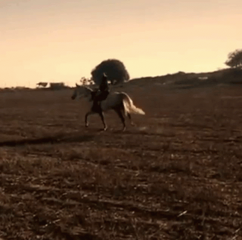 a person riding a horse in a grassy field