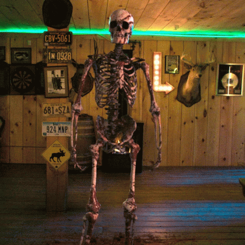 the skeleton is standing in front of a lot of pictures