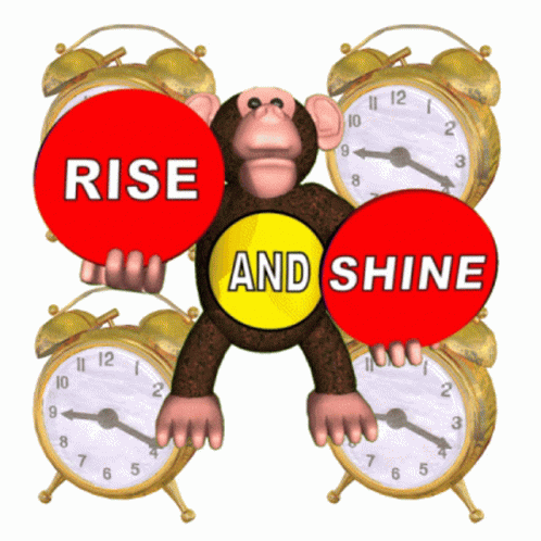 a monkey that is holding two clocks on it's arms