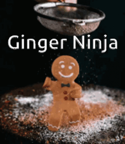 the text ginger ninja over a picture of a person