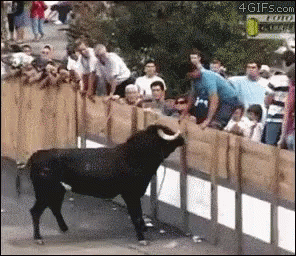 a bull is being watched by people and other people