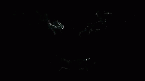 black cat in a dark room illuminated by light