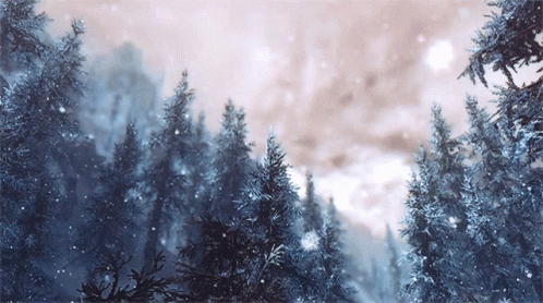 the snow covered mountains are filled with trees