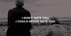 an image of two people sitting on a beach with one saying, i don't hate you i could never hate you
