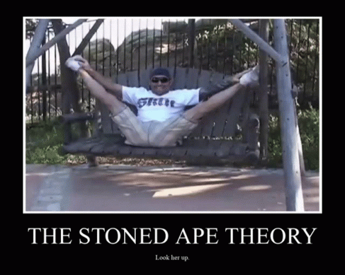a man on a swing that says the stoned ape theory