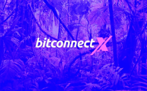 a green background with the word, bitconnet x in it