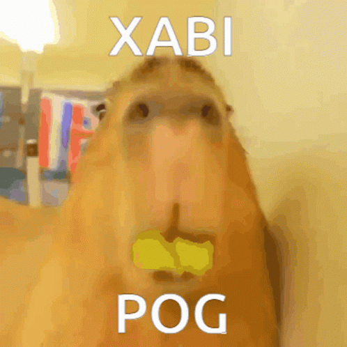 a blurry po with the words xabi on it